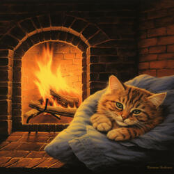 Focus and Concentration Fire Happy Cat