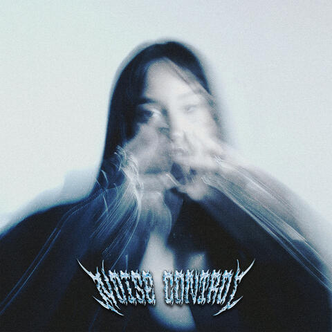 Noise Control