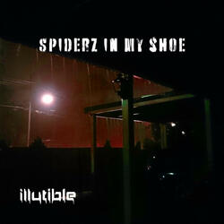 Spiderz In My Shoe