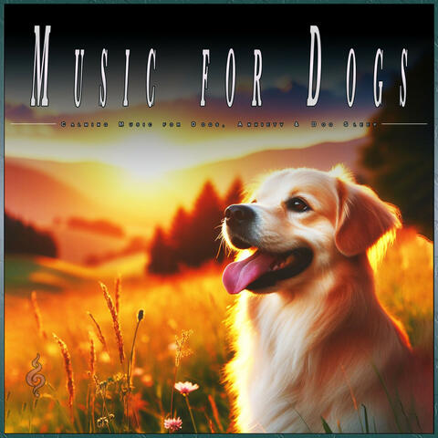 Music for Dogs: Calming Music for Dogs, Anxiety & Dog Sleep