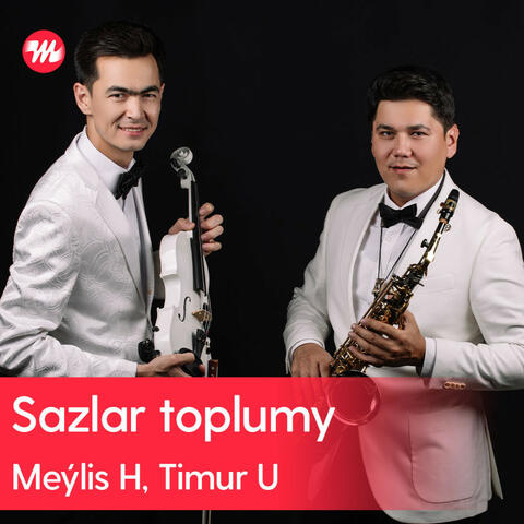 Sazlar toplumy