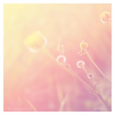 Optimism