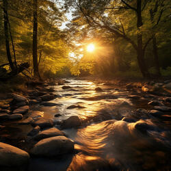 Coral De Yoga De Paz Tronadora