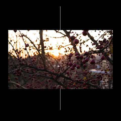 Hourglasses Crambles Along the Orange Fucked Sky