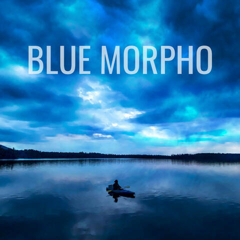 Blue Morpho
