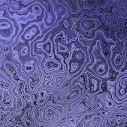 Synthesizer.Wav [2023]