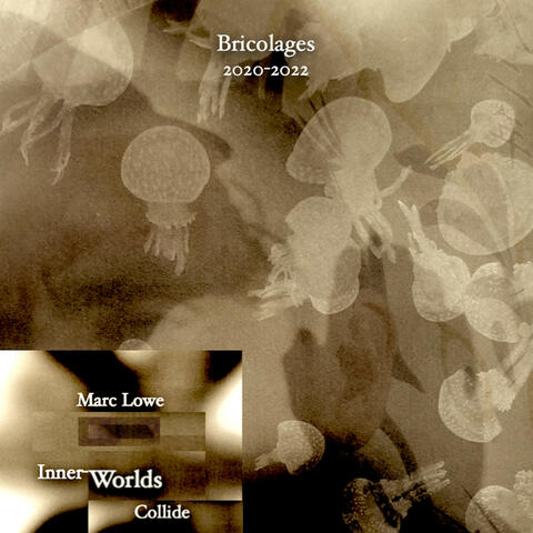 Inner Worlds Collide: Bricolages