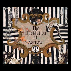 The Level of the Spiral