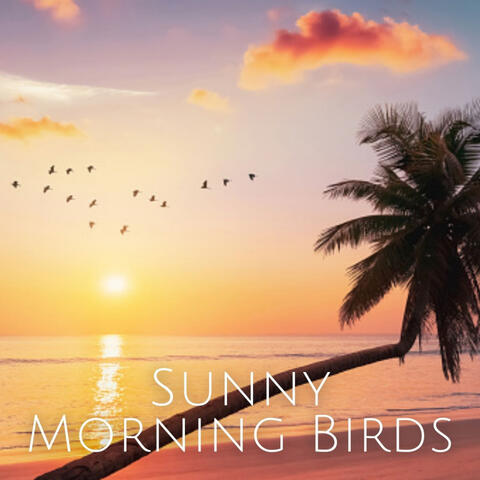 Sunny Morning Birds