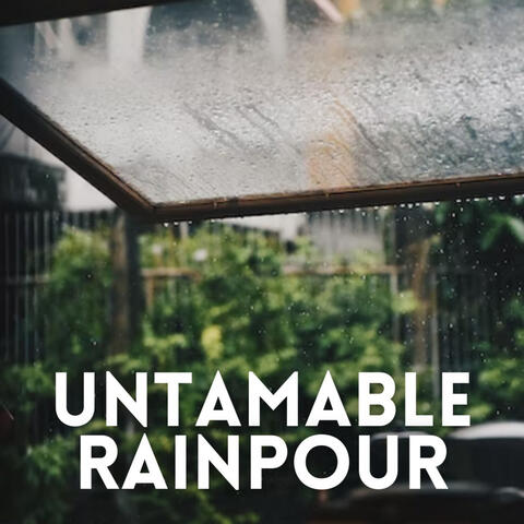 Untamable Rainpour