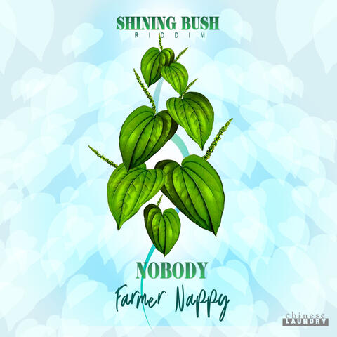 Nobody