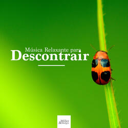 Tecnicas de Relaxamento