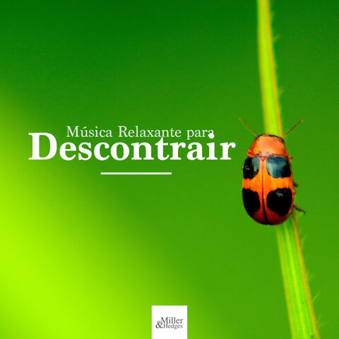 Música Relaxante para Descontrair - Trabalhar, Acalmar a Mente, Estudar