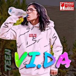 VI.DA