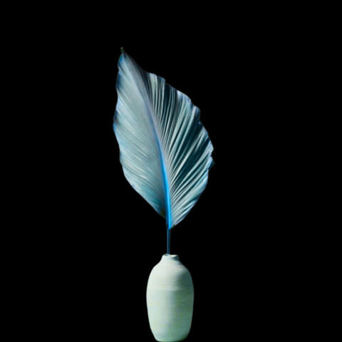 La Creación