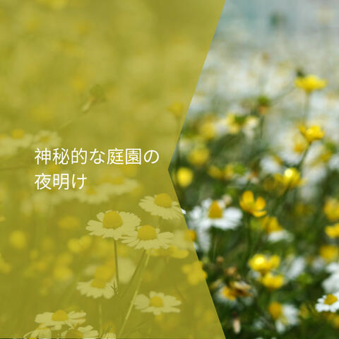 神秘的な庭園の夜明け