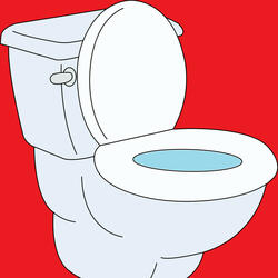 Flushing the Toilet 4