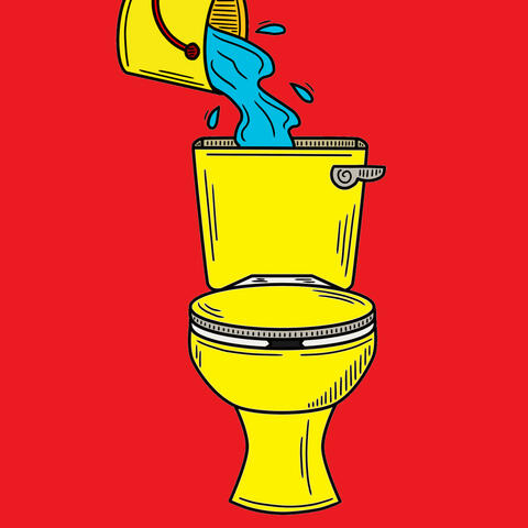 The sounds of the toilet flushing