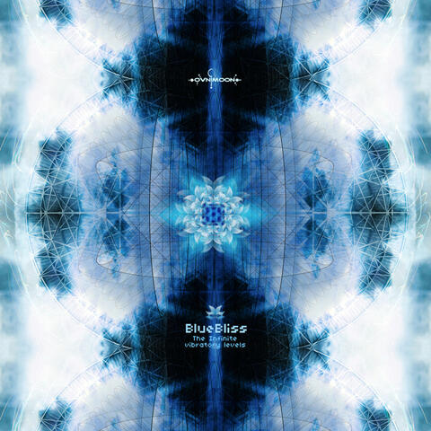Infinite Vibratory Levels
