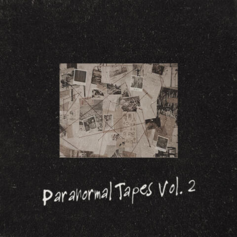 Paranormal Tapes, Vol. 2
