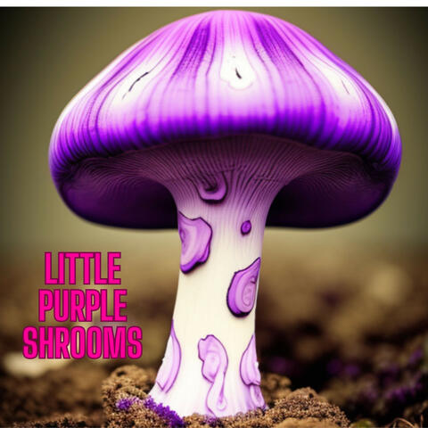 Little Purple Shrooms