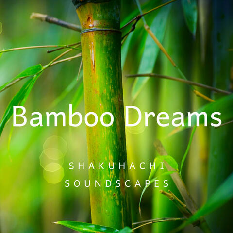 Bamboo Dreams: Shakuhachi Soundscapes