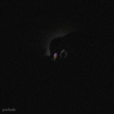 prelude freestyle