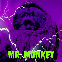 MR. MONKEY