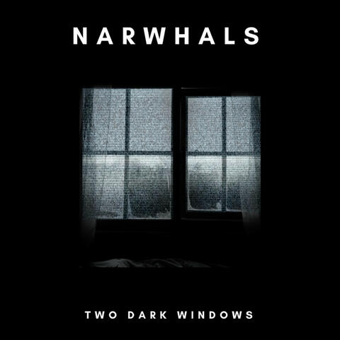 Two Dark Windows