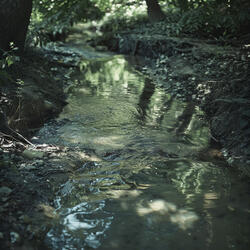 Binaural Brook for Gentle Slumber