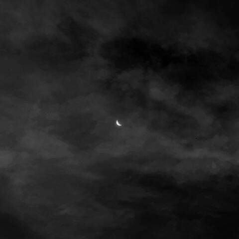 We Never Barked at the Moon