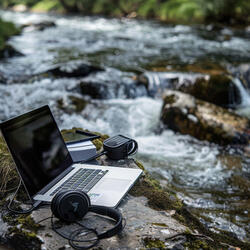 Study Ripple Harmony