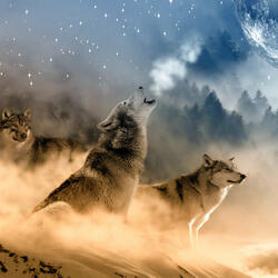 Lobo aullando