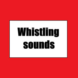 Whistle sound for video