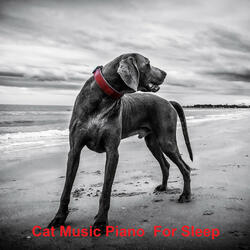 Deep Sleep Music For Dogs