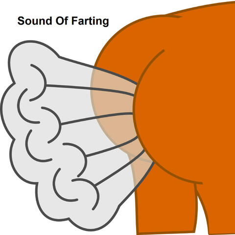 Sound Of Farting