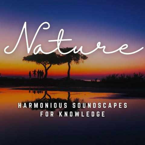 Study Serenity: Harmonious Soundscapes for Knowledge