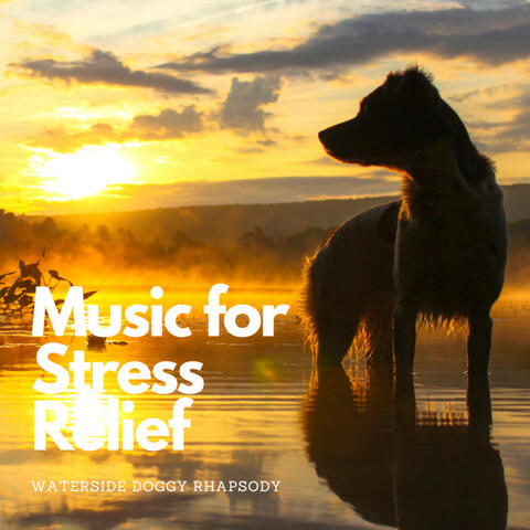 Music for Stress Relief: Waterside Doggy Rhapsody