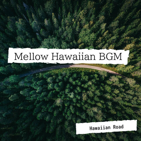 Mellow Hawaiian BGM