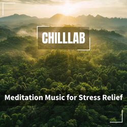 Pathway Through the Meadow