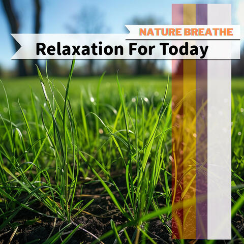 Relaxation For Today