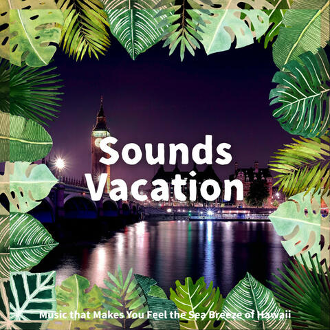 Music that Makes You Feel the Sea Breeze of Hawaii