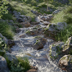 Quiet Pools Reflect Serene Thoughts