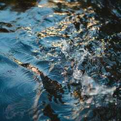 Calming Stream Carves Peaceful Paths