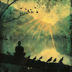 Birds Zen Beats