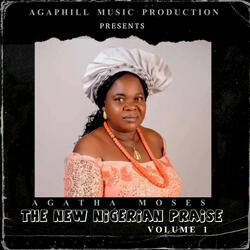 The New Nigerian Praise, Vol. 1