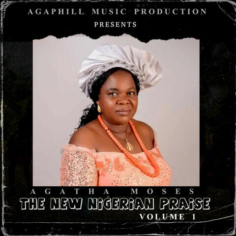 The New Nigerian Praise, Vol. 1