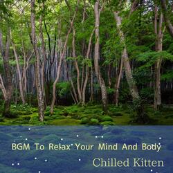 Gentle Ripples of Solace