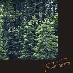 Composing with the Stars