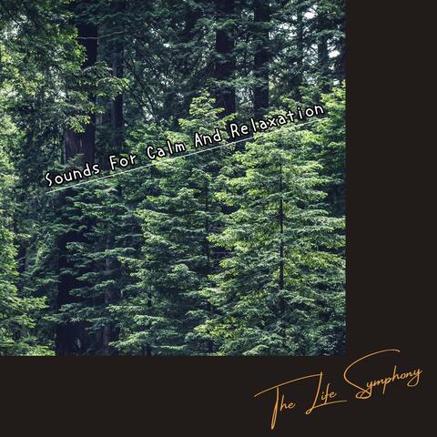 Sounds For Calm And Relaxation